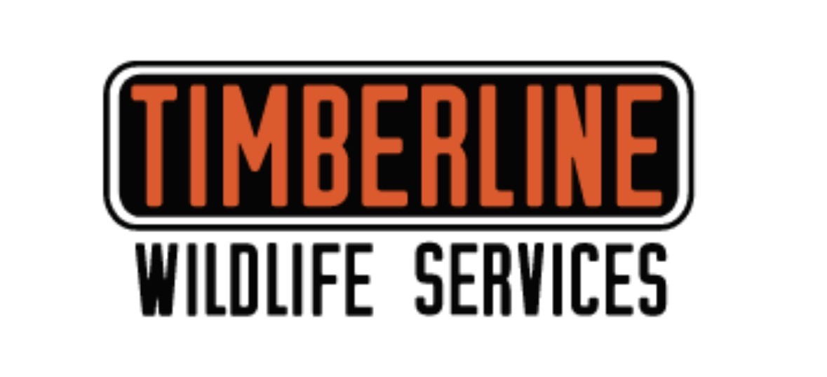Timberline Wildlife Services